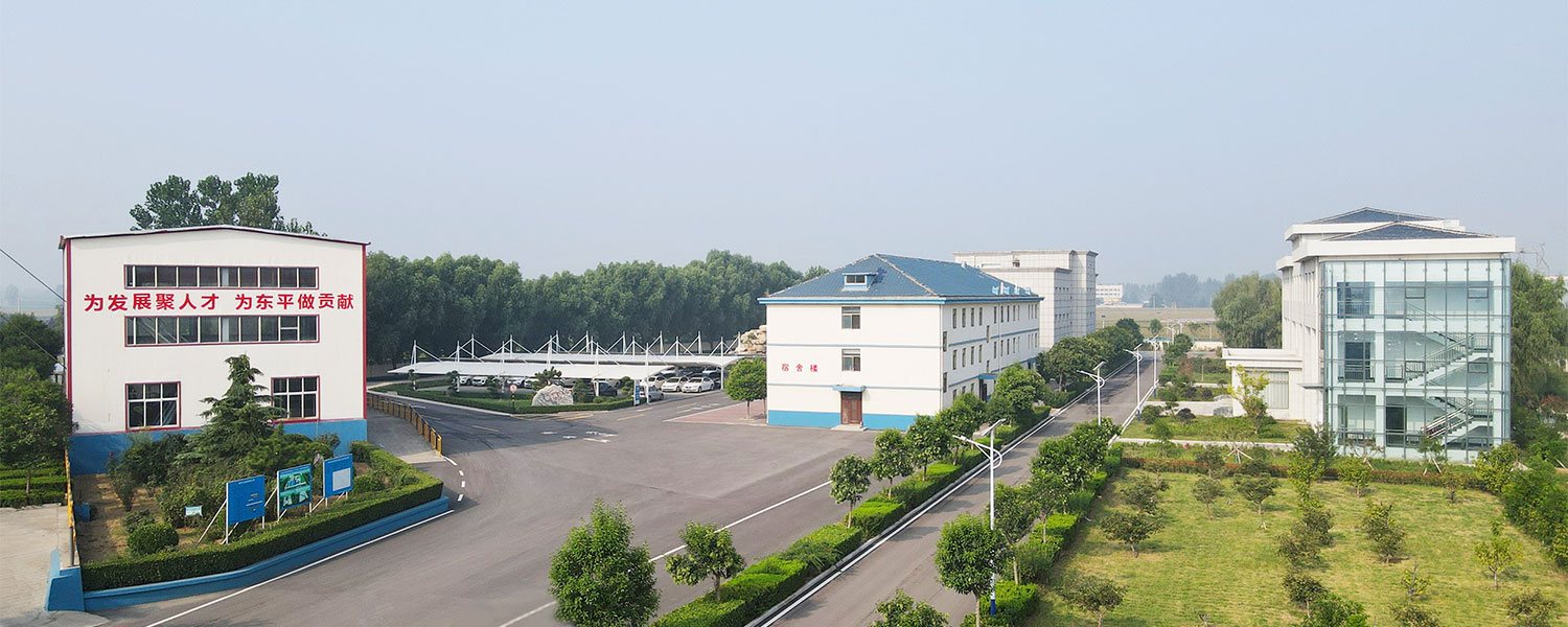 东平宏达矿业(图1)